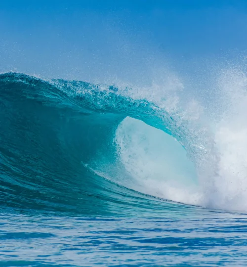 husen-siraaj-CGcJTwb5afE-unsplash